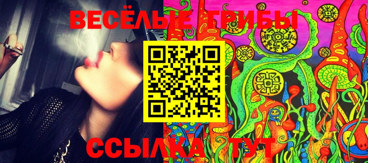 Можга  Галлюциногенные грибы Psilocybe  Вход с VPN 